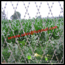 Hot galvanized security weld razor blade wir e mesh fence